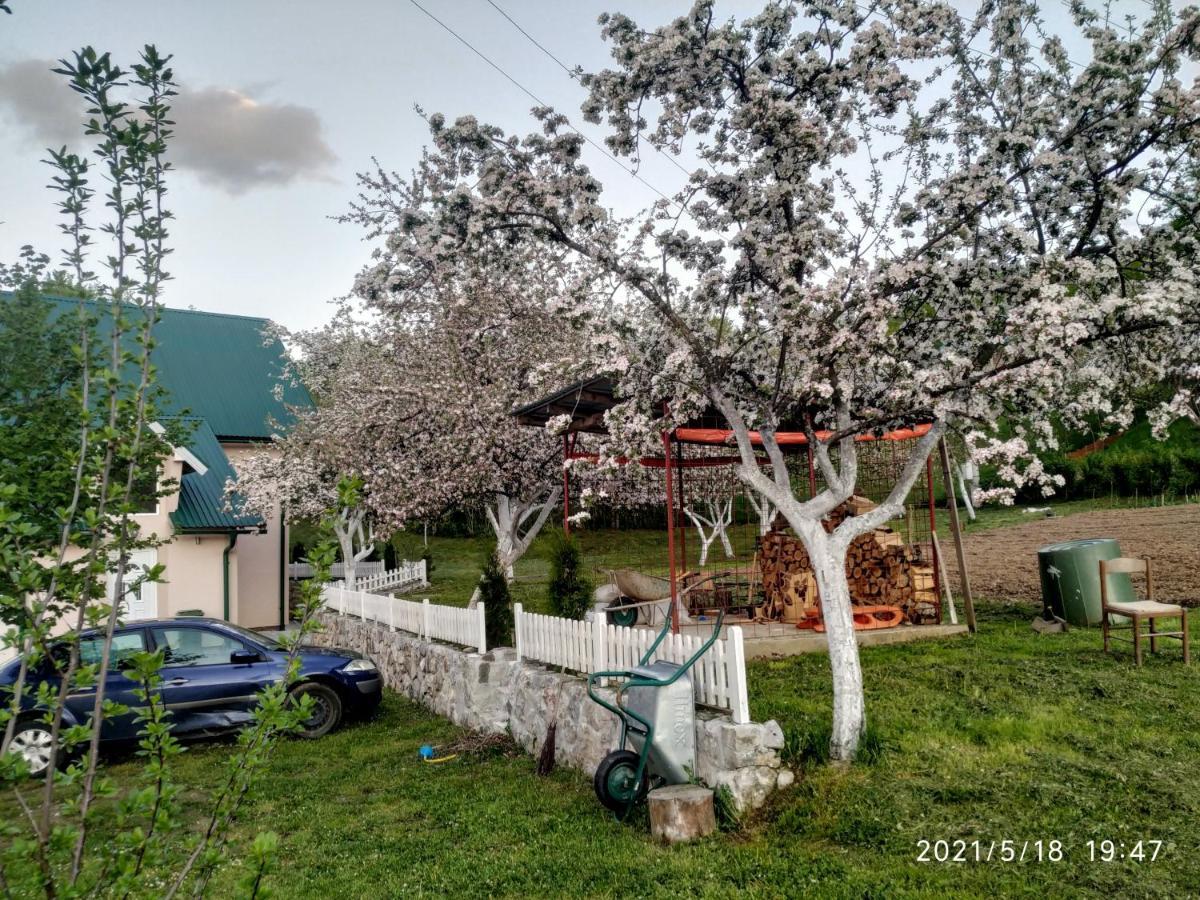 Apartments & Rooms Bojic Kolašin Eksteriør bilde